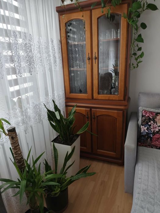 Komoda i kredens z serii Bawaria