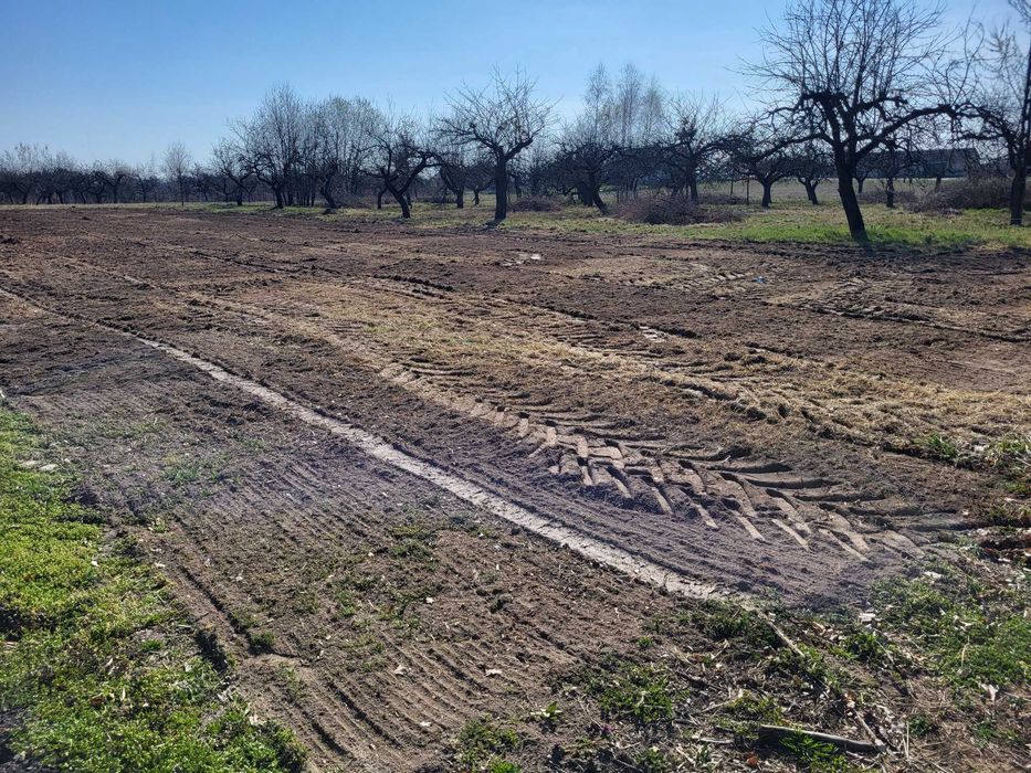 Działka budowlana 1546 m², Jeziora, gm. Pniewy - Widok 5