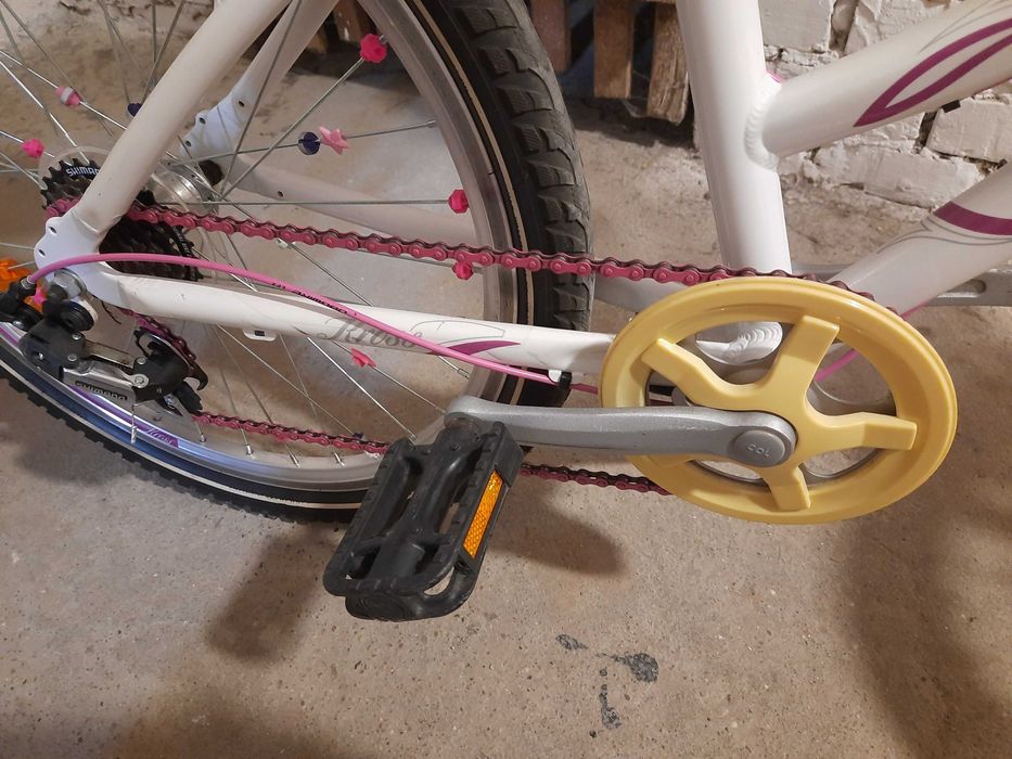 Rower Kross Modo Junior 24 cale