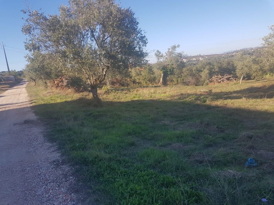 Fátima Santuário ( 20 KMS ) Terreno Viab Const água luz esgotos só com o próprio