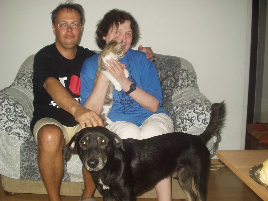 Petsitter - opieka nad psem lub kotem