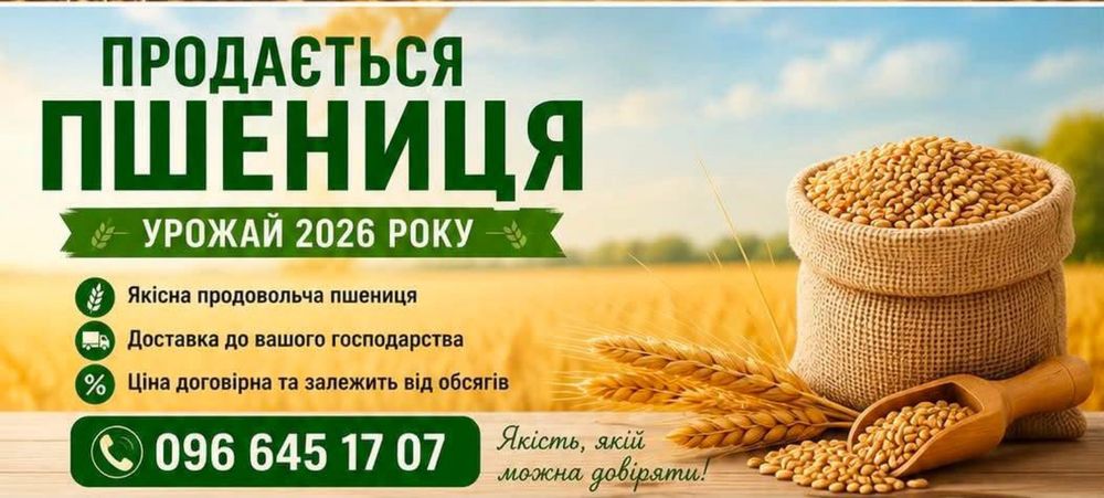Пшениця нового урожаю