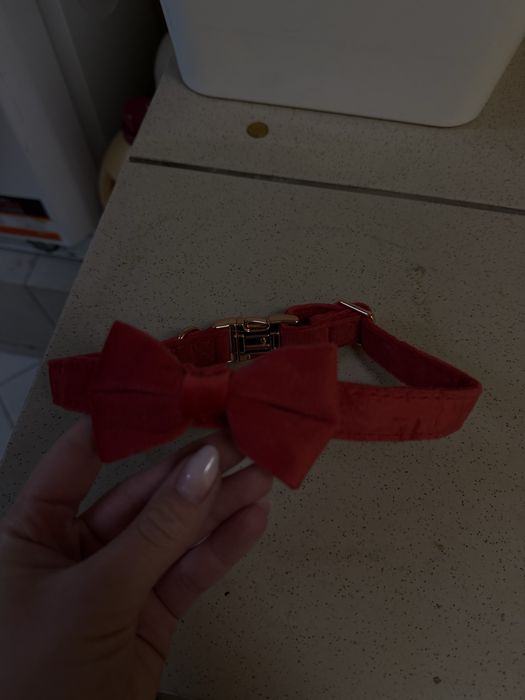 Elegancka mucha dla psa lub kota Velvet red nowa
