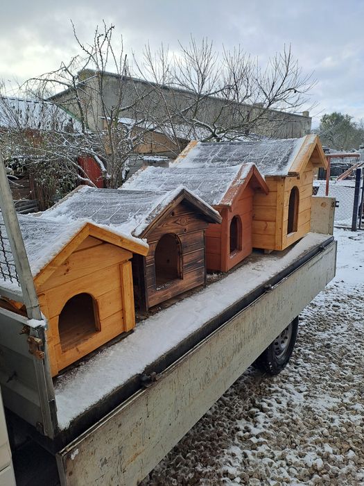 Budy dla psów, małe i duże