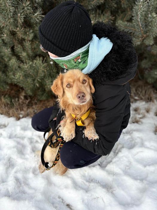 Piękny Pinio ,szuka domu.