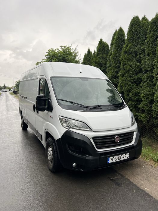 Wynajem busa Fiat Ducato L3H2 !! / Wypożyczalnia busów