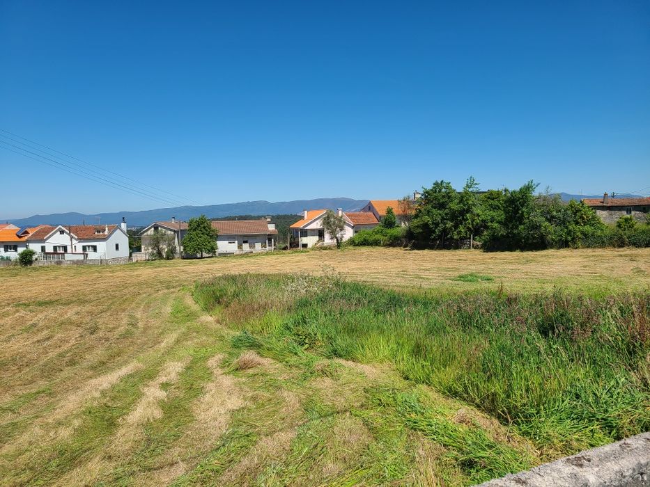 Fardos de feno bravo