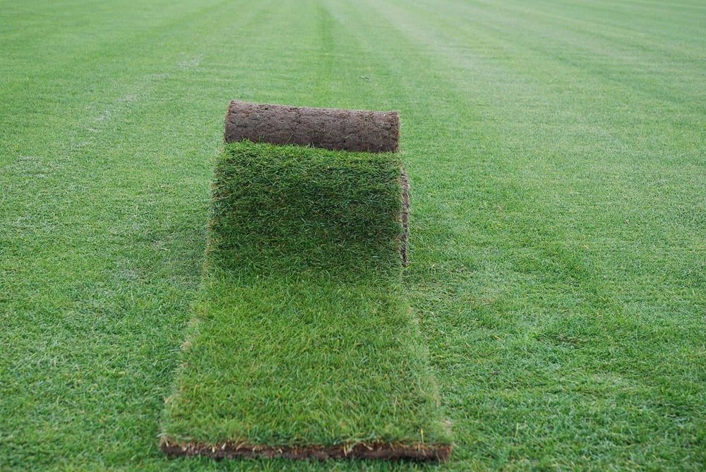 Trawa w rolce m2 Kraków małopolskie www.gardenlawn.pl/trawa-w-rolce