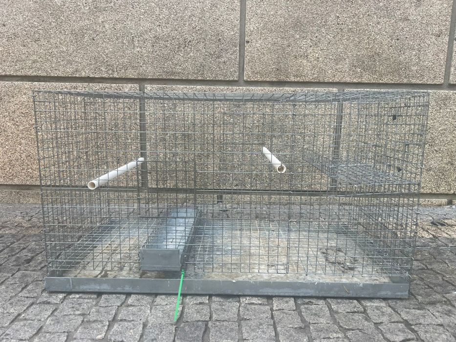 Gaiolas para aves