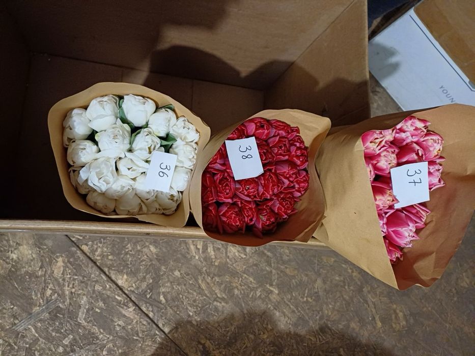 Український тюльпан опт та роздріб предзамовлення Украина 8 березня