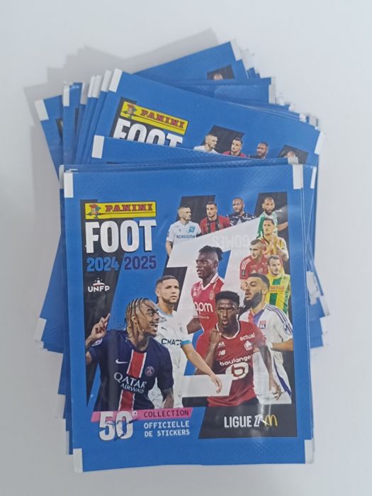 Saquetas Liga Francesa Foot 24/25
