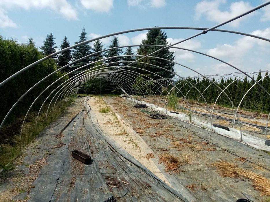 Tunel ogrodowy 6x30mb ocynk