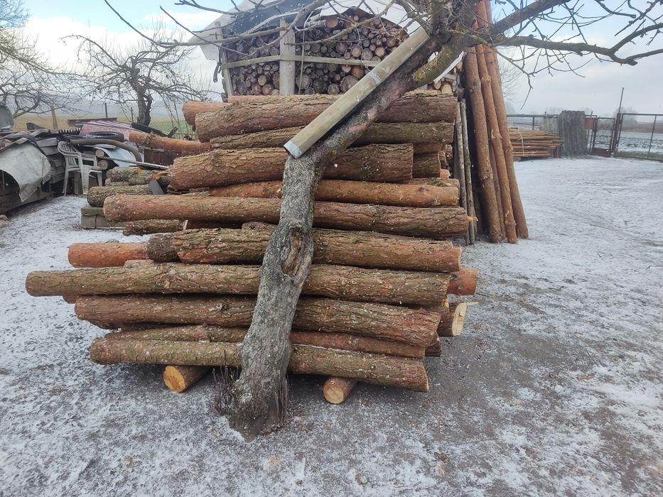 Drewno sosnowe opałowe,drzewo na opał