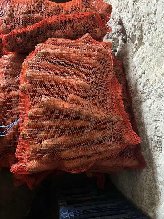 Świeże Warzywa dla Gastronomii Sklepów i Kebabów