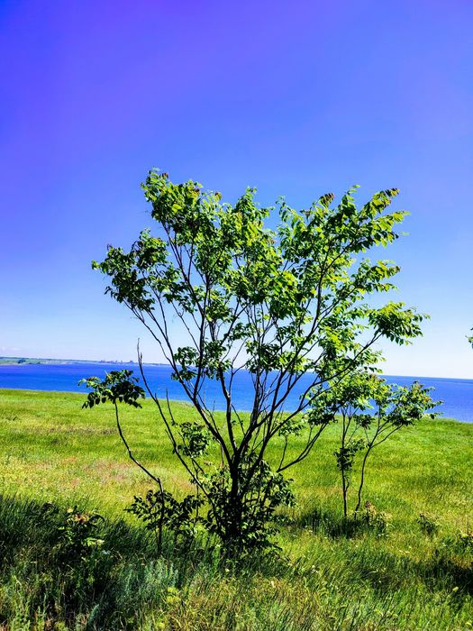 6,2 соток,в найгарнішому місці біля лиману та моря