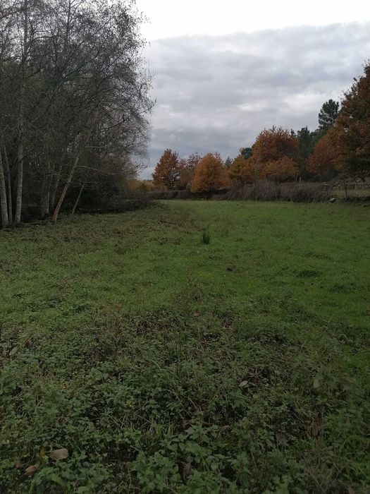 Quinta agrícola 20 000 m2 Cabanas de Viriato