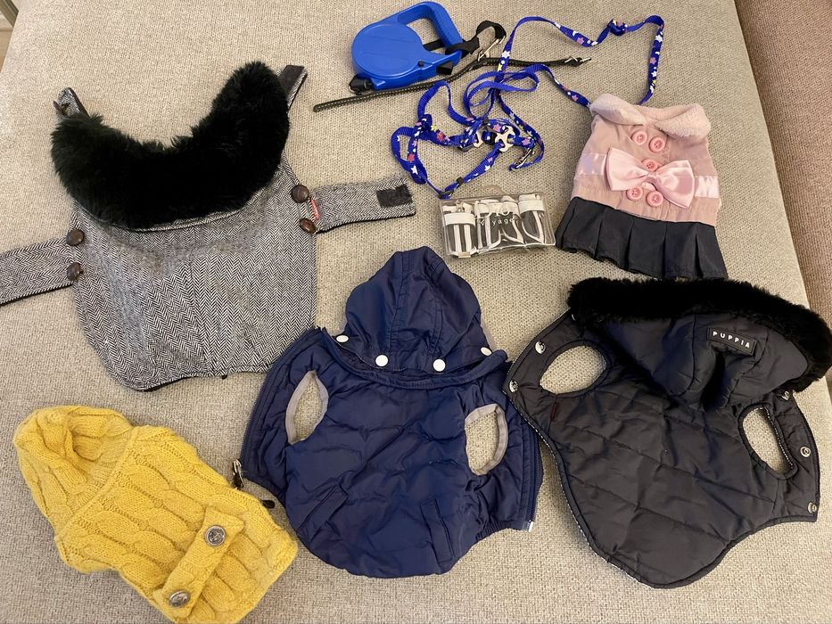 Одежда и аксессуары для собак