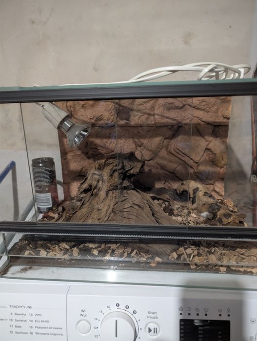 Sprzedam terrarium 150zl