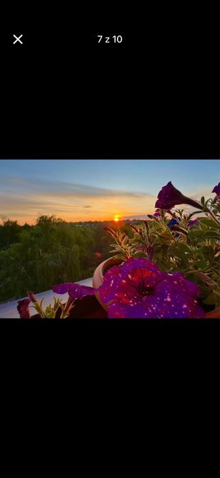 Mieszkanie os Wojska Polskiego 2 pokoje