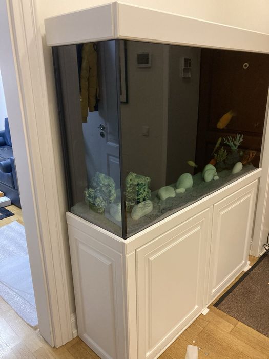 АКВАРІУМИ за адекватними цінами!