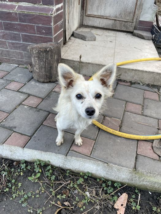 Чудом выжившая девочка