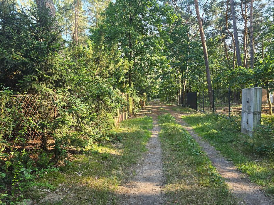 Działka z domkiem nad rzeką Rządza -30 min od Warszawy - Widok 4