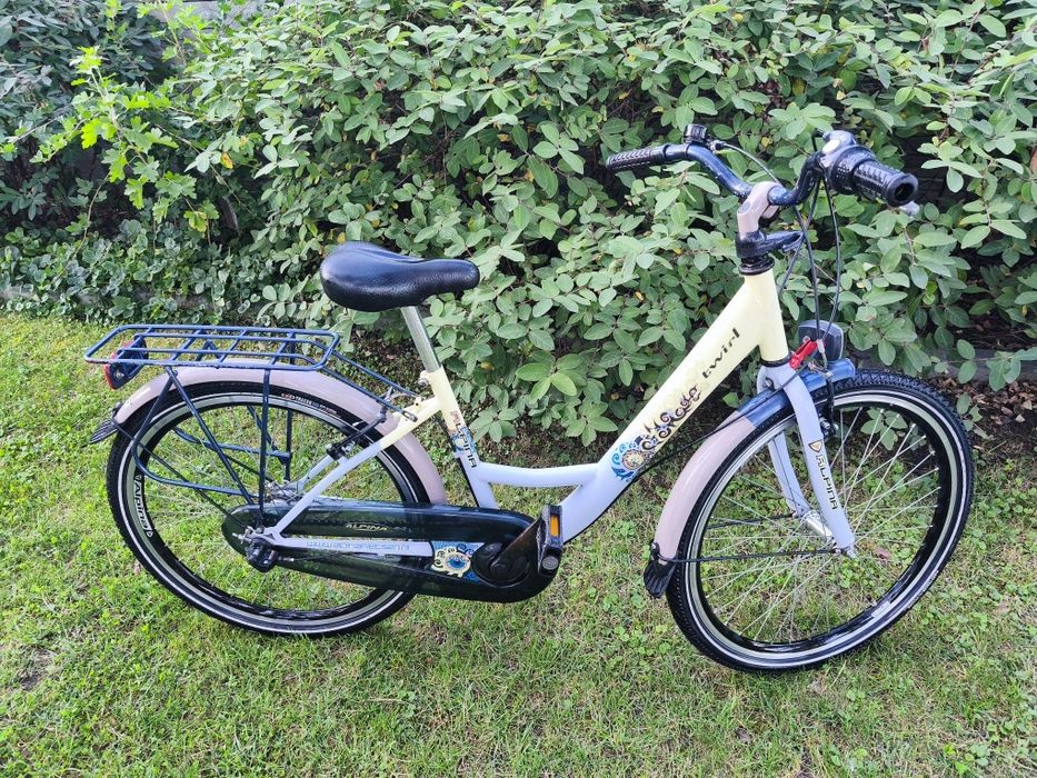 Rower Alpina 24 cali