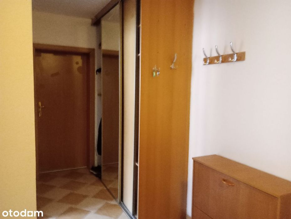 Zdjęcie 8