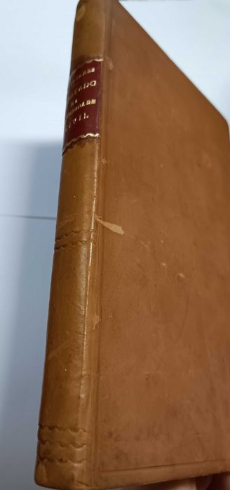 Tratado da Capacidade Civil, do Doutor José Tavares