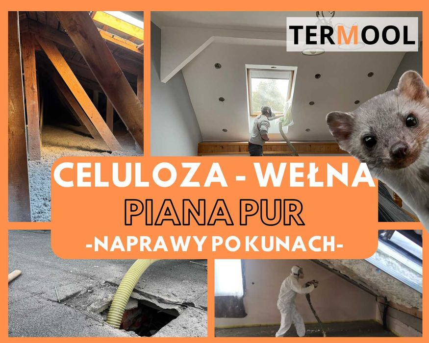 Ocieplanie Wełną, Docieplenie poddasza Celuloza, Naprawa po kunie,
