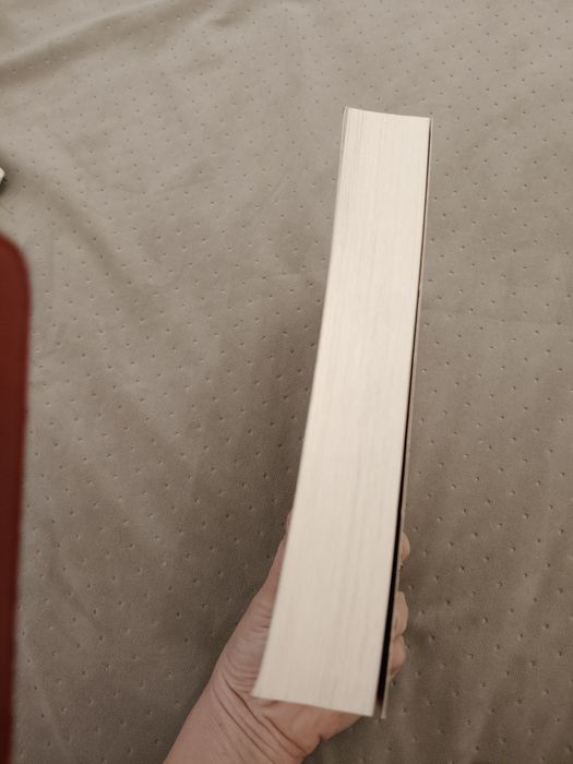 Remigiusz Mróz Substytucja