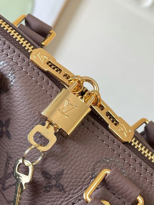 Сумка Louis Vuitton Speedy — лімітована модель