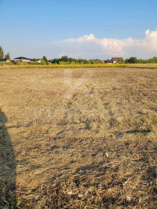 Продаж Земельної ділянки Личанка 20 соток 1% оформлення