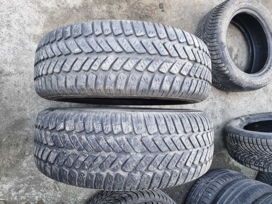 Opony 2 szt. 195/65/15 2019 r. Dębica Navigator 2 DOT 4219 5,7 mm