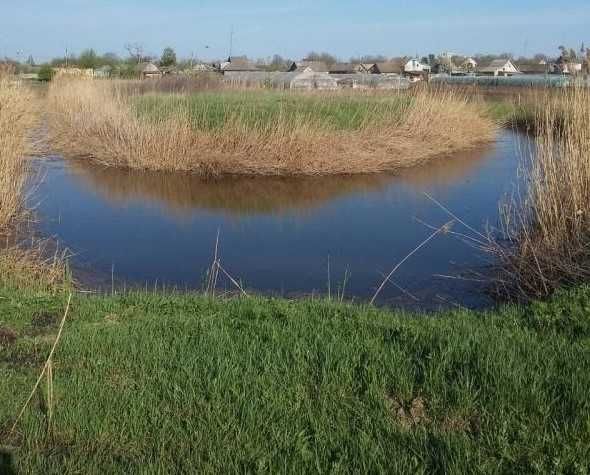 В продаже участок с. Яски, 40 соток .