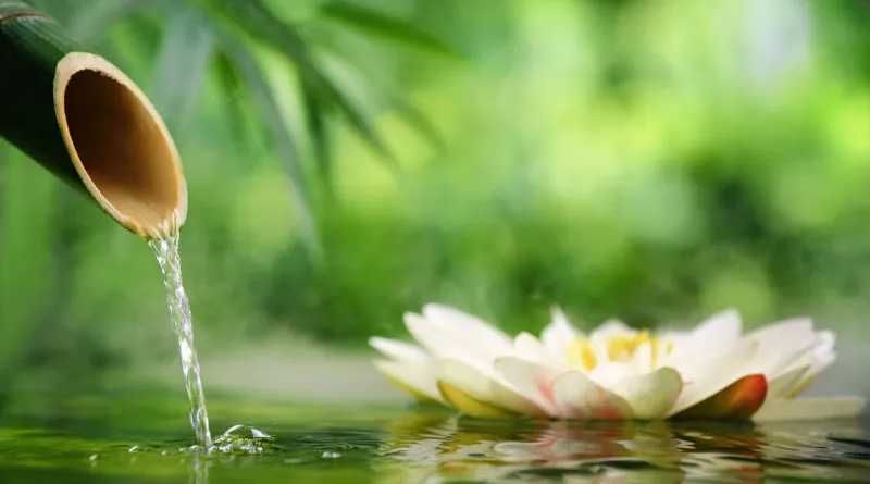 Coaching / Psicologia