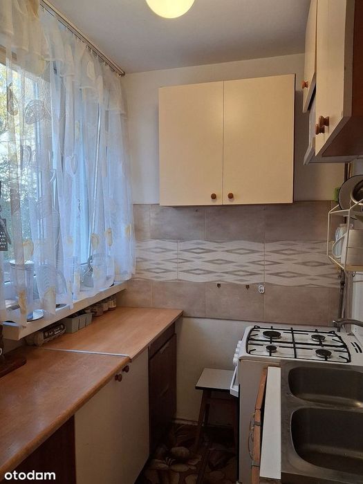 M4 Dąbrowa parter z balkonem