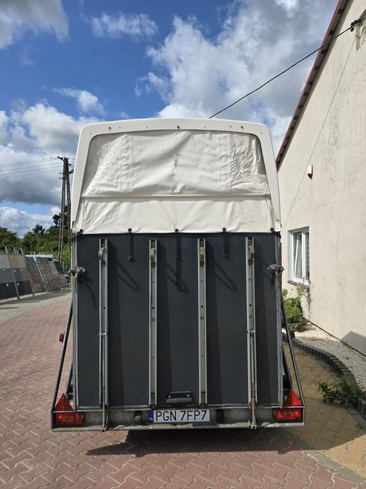 Przyczepa do koni HUMBAUR