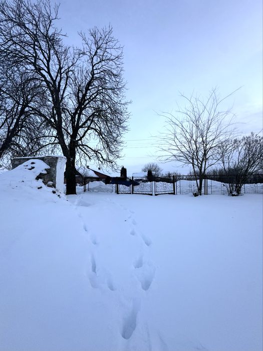 ‼️ПРОДАЖ. Земля. Земельна ДІЛЯНКА‼️с. Сатиїв