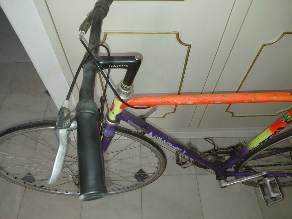 Bicicleta Urbana de Adulto