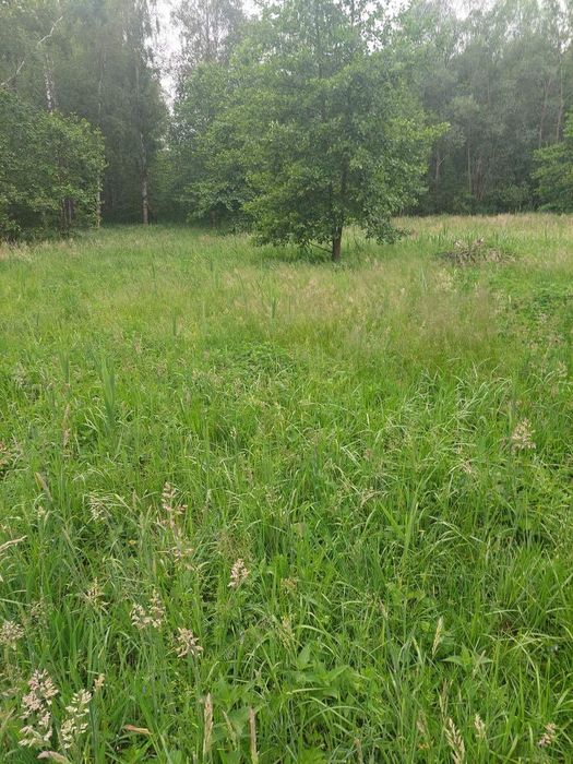 Działka na Mazurach przy szlaku WJM nad jeziorem Bełdany