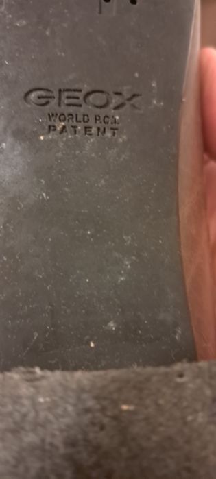 Sapato Geox castanho