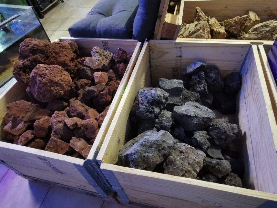 Korzenie Red Moor Root Nano 100g, korzenie do akwarium, Turkusowe Zoo