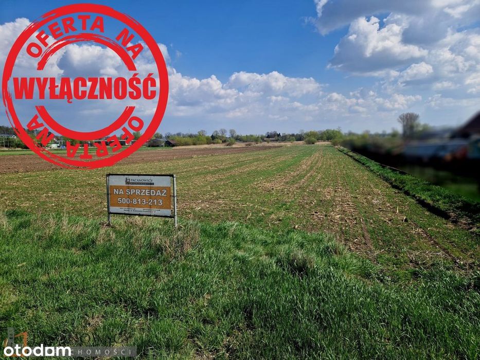 Działka na sprzedaż, Proszowice (gw)