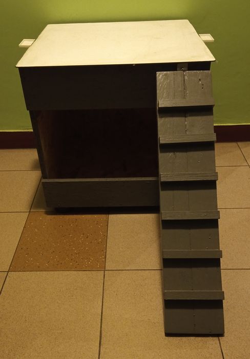 Domek, budka dla kota.