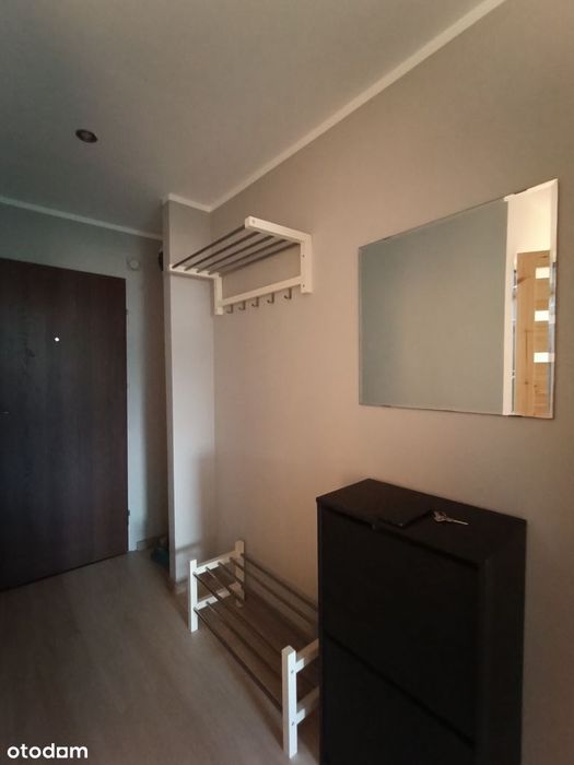 Apartment in Gliwice, Śródmieście - Widok 4