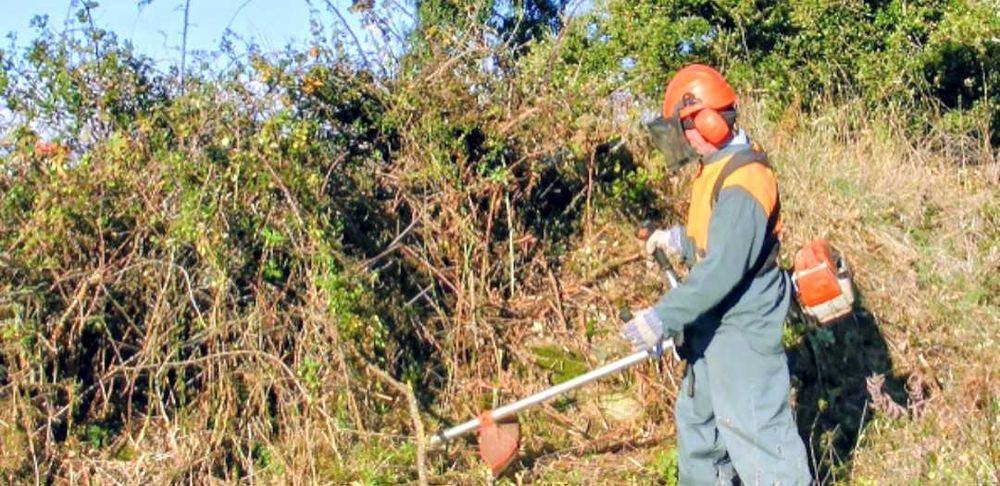 Limpeza de jardins e terrenos