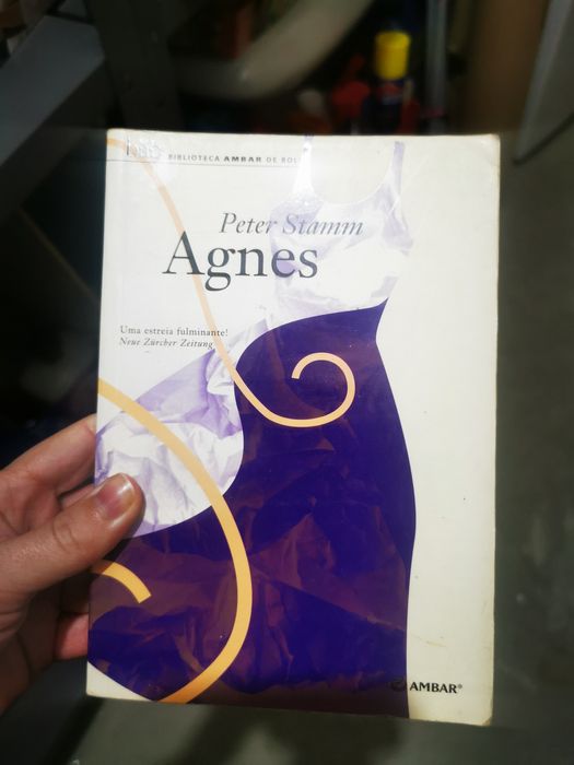 Livro Agnes de  Peter Stamm
