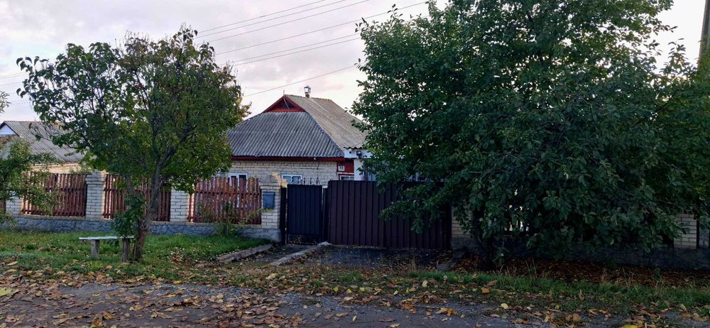 Приватний будинок