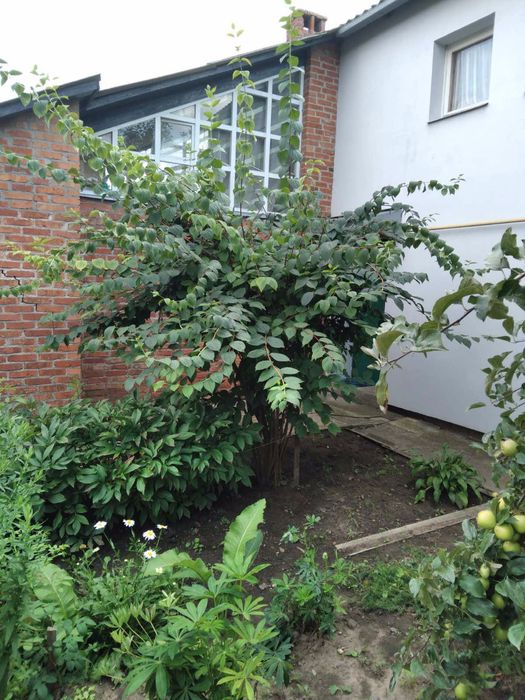 Продається будинок зі всіма зручностями у смт Краснокутськ